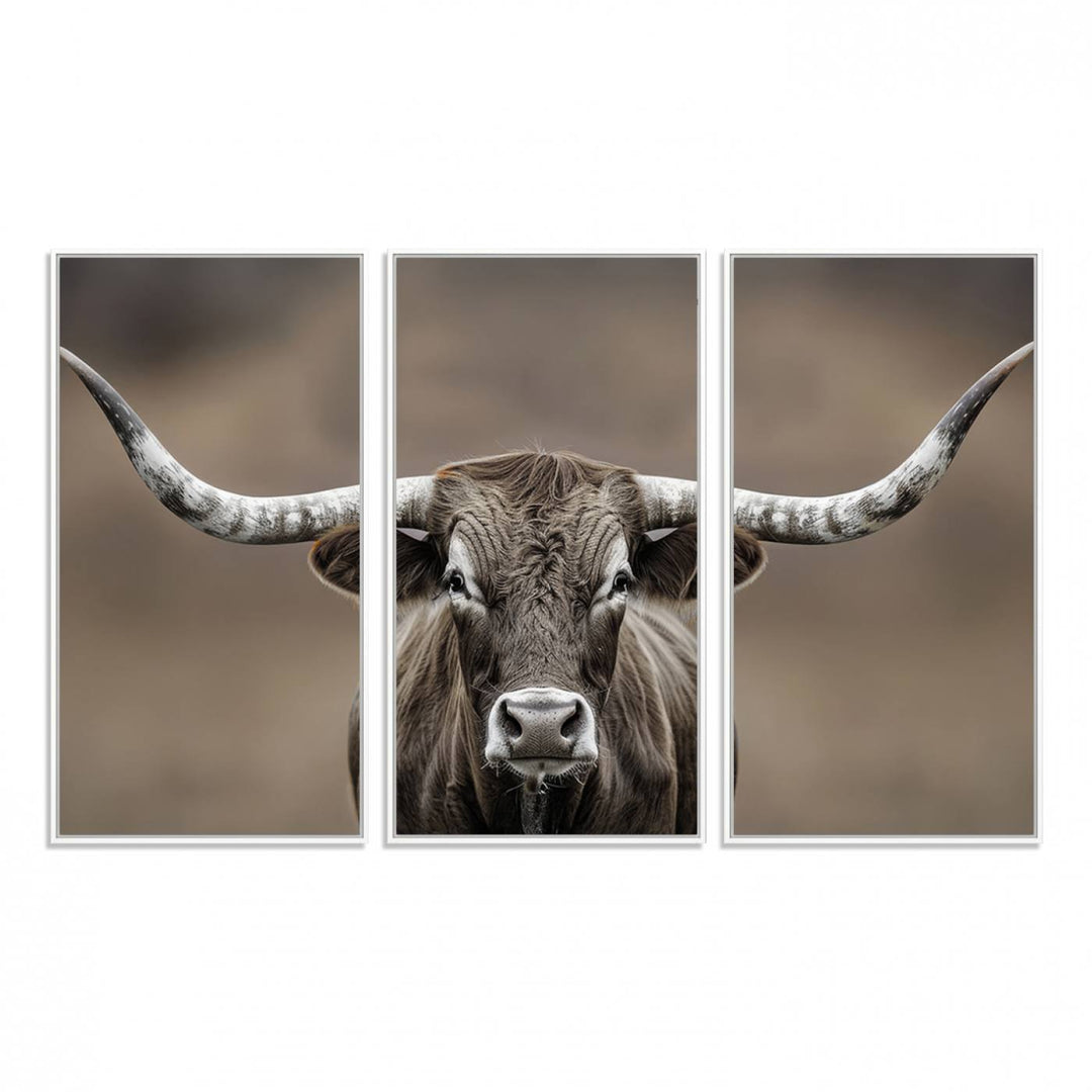 A close-up of a longhorn bull facing forward is featured in the Framed Texas Test-1, set against a blurred brown background.