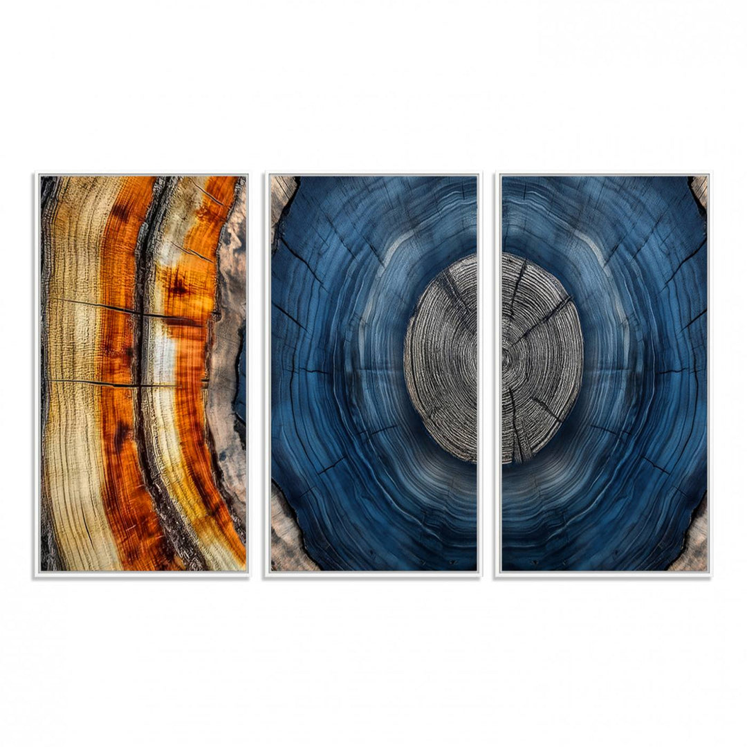 Vibrant Abstract Tree Rings in Orange, Brown, and Blue - Canvas Print for Nature Woodland Wall Decor.