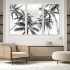 Edit-Images-Black and White Palm Tree Wall Art – Monochrome Tropical Canvas Print for Coastal or Minimalist Living Room Decor
