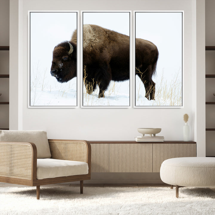 Bison Photography Wall Art Canvas Print, Framed Western Wildlife Art Picture Print, Buffalo On Snow Perfect Western Decor Artwork