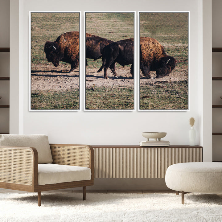 Bison Photography Wall Art Canvas Print, Framed Western Wildlife Art Picture Print, Modern Ranch Perfect Western Rustic Decor Artwork