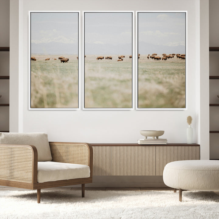 Bison Herd Wall Art Canvas Print, Framed Western Art Picture Print, Bison Perfect Ranch Decor Artwork
