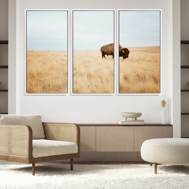 A lone bison standing in a vast golden grassland under a soft blue sky, evoking a rustic and Western aesthetic, ideal for farmhouse decor.