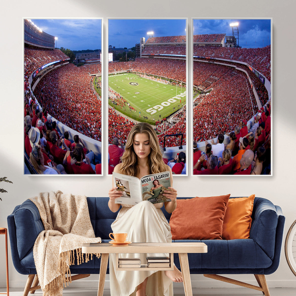 10244378-MGV-CV-36X24 - Dooley Stadium Wall Art, Sports Arena Canvas Print, Dooley Field, Home Bar Wall Decor