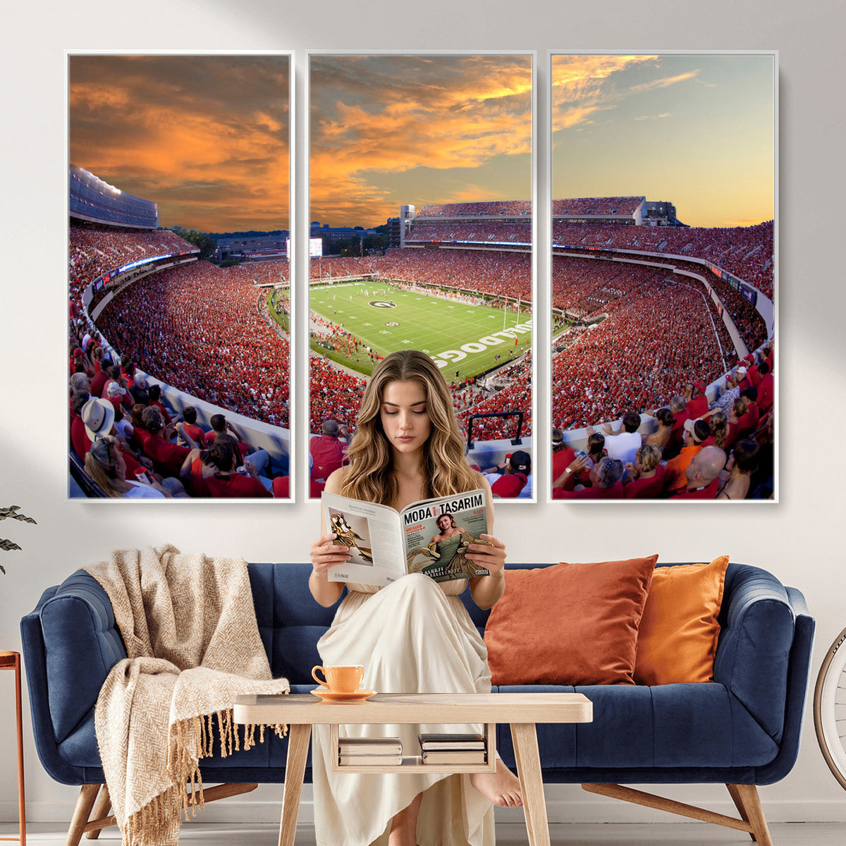 73680988-MGV-CV-36X24 - Dooley Stadium Wall Art, Sports Arena Canvas Print, Dooley Field, Framed and Ready to Hang
