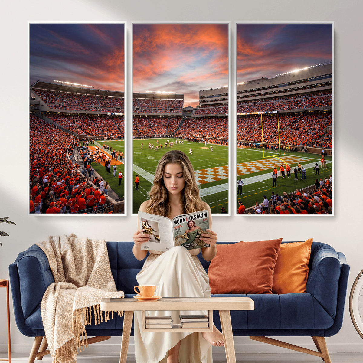 67648335-MGV-CV-36X24 - Stadium Wall Art Canvas Print