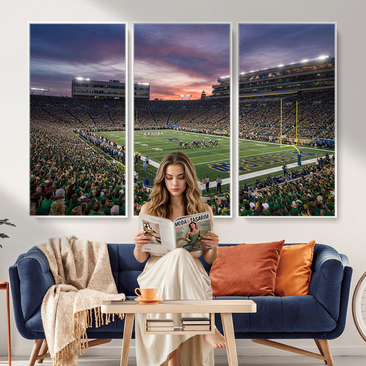 34836892-MGV-CV-36X24 - Stadium Wall Art Canvas Print