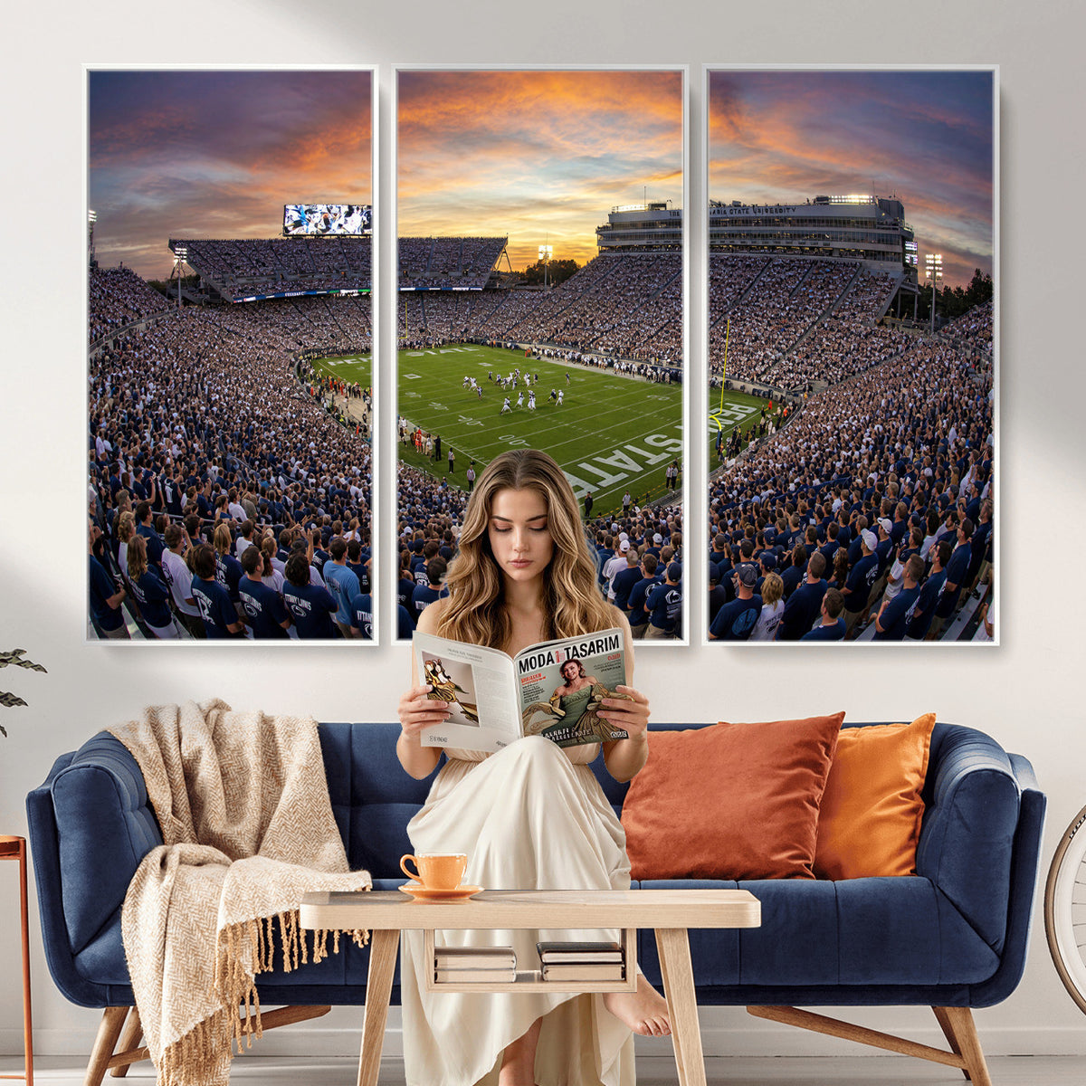 29008668-MGV-CV-36X24 - Stadium Wall Art Canvas Print