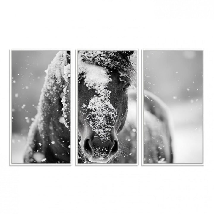 The Black and White Horse Winter Wall Art features a majestic horse with snow-covered hair set against a serene winter backdrop.