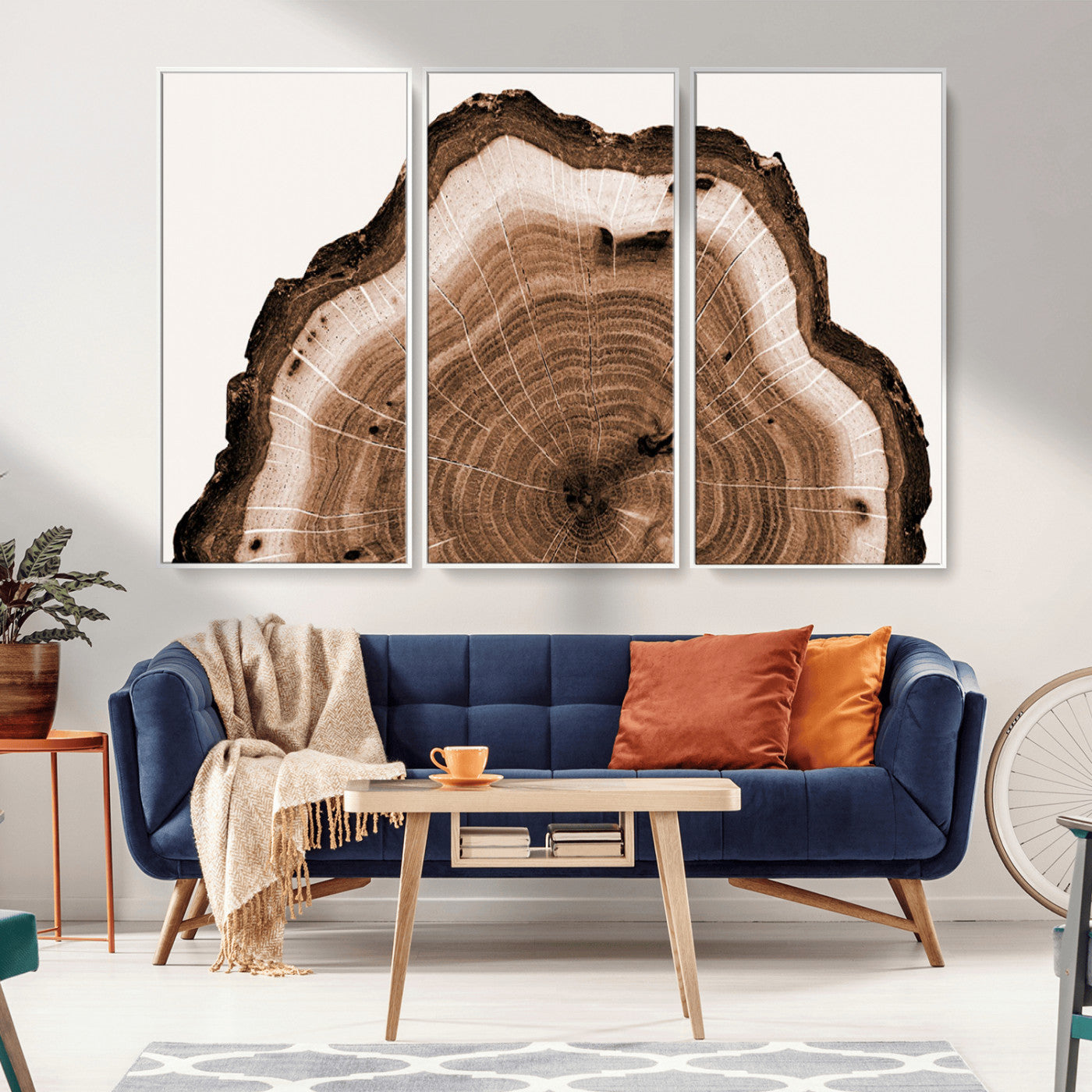 45195-MGV-CV-36X24-Rustic Wood Rings Wall Art | Nature-Inspired Tree Ring Canvas Print | Ready to Hang and Framed for