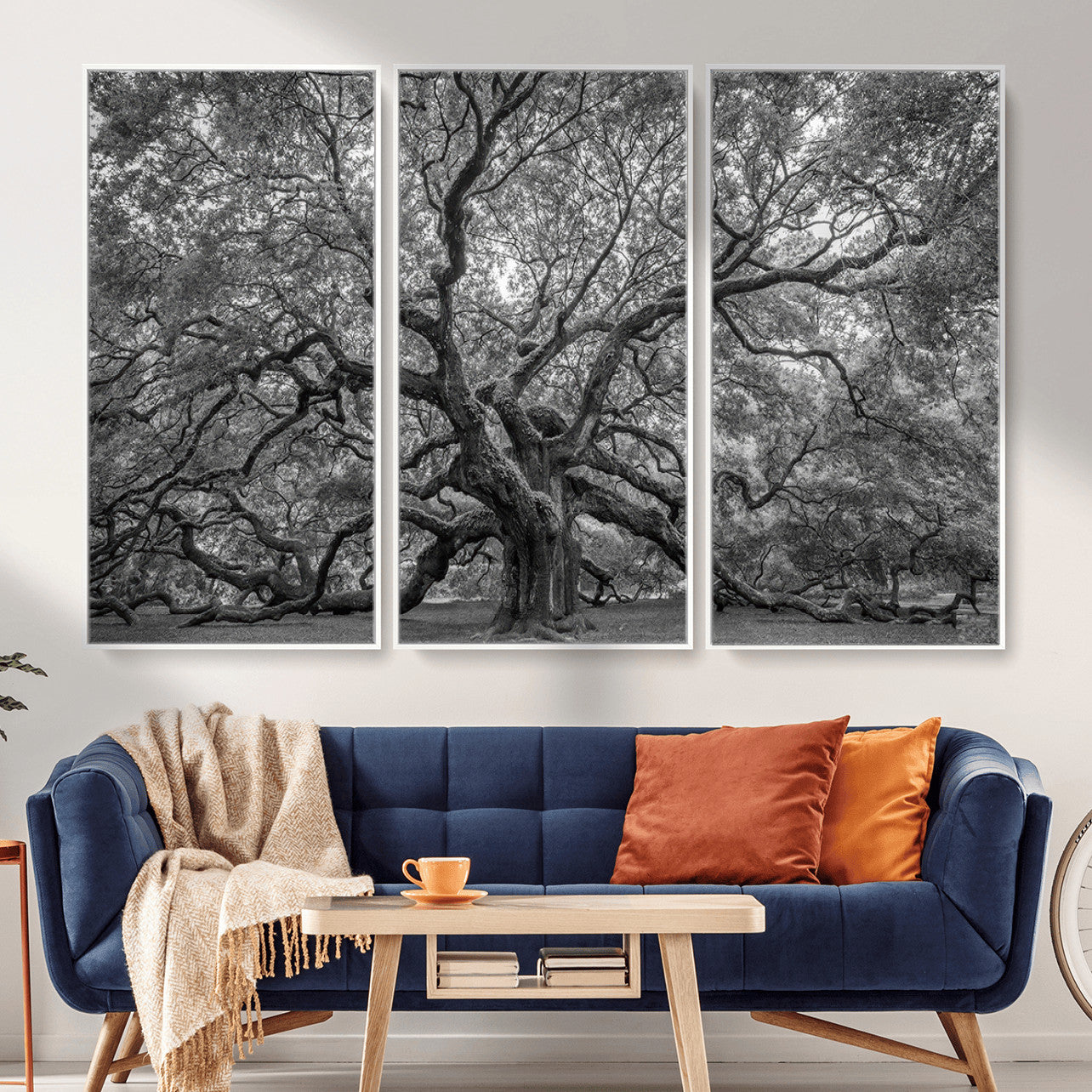 97240-MGV-CV-36X24 - Large Angel Oak Tree Black and White Canvas Print