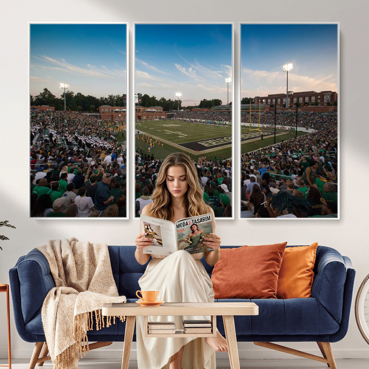 12290-MGV-CV-36X24 - University of Charlotte 49ers Football Team Print - Charlotte Jerry Richardson Stadium Wall Art