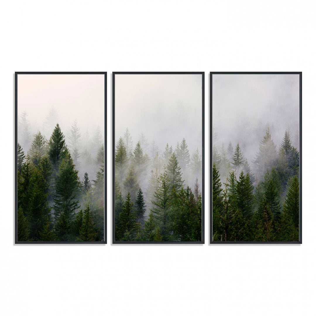 A serene, foggy evergreen forest creates a mysterious atmosphere, ideal for premium canvas wall art.