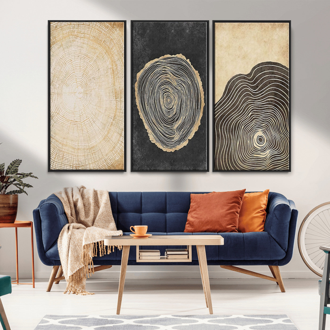 MGV-FC-48X32-3P - Tree Rings Canvas Wall Art Print – Minimalist Natural History in Modern Decor - Minimalist Boho Wall
