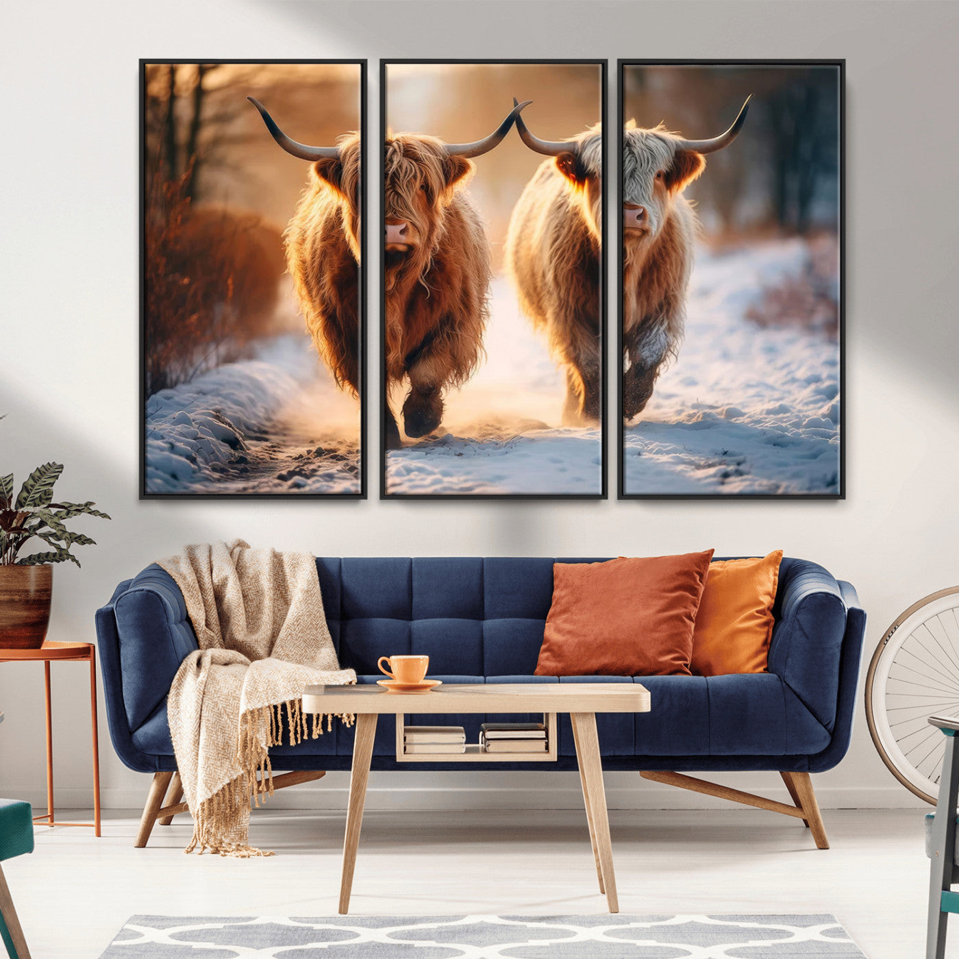 MGV-FC-48X32-3P - Scottish Highland Cow Horn Farm Wall Art Canvas Print