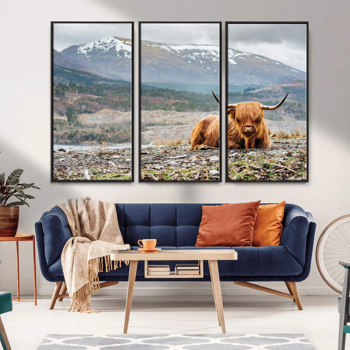-Highland Cow Horn Farm Wall Art Canvas Print