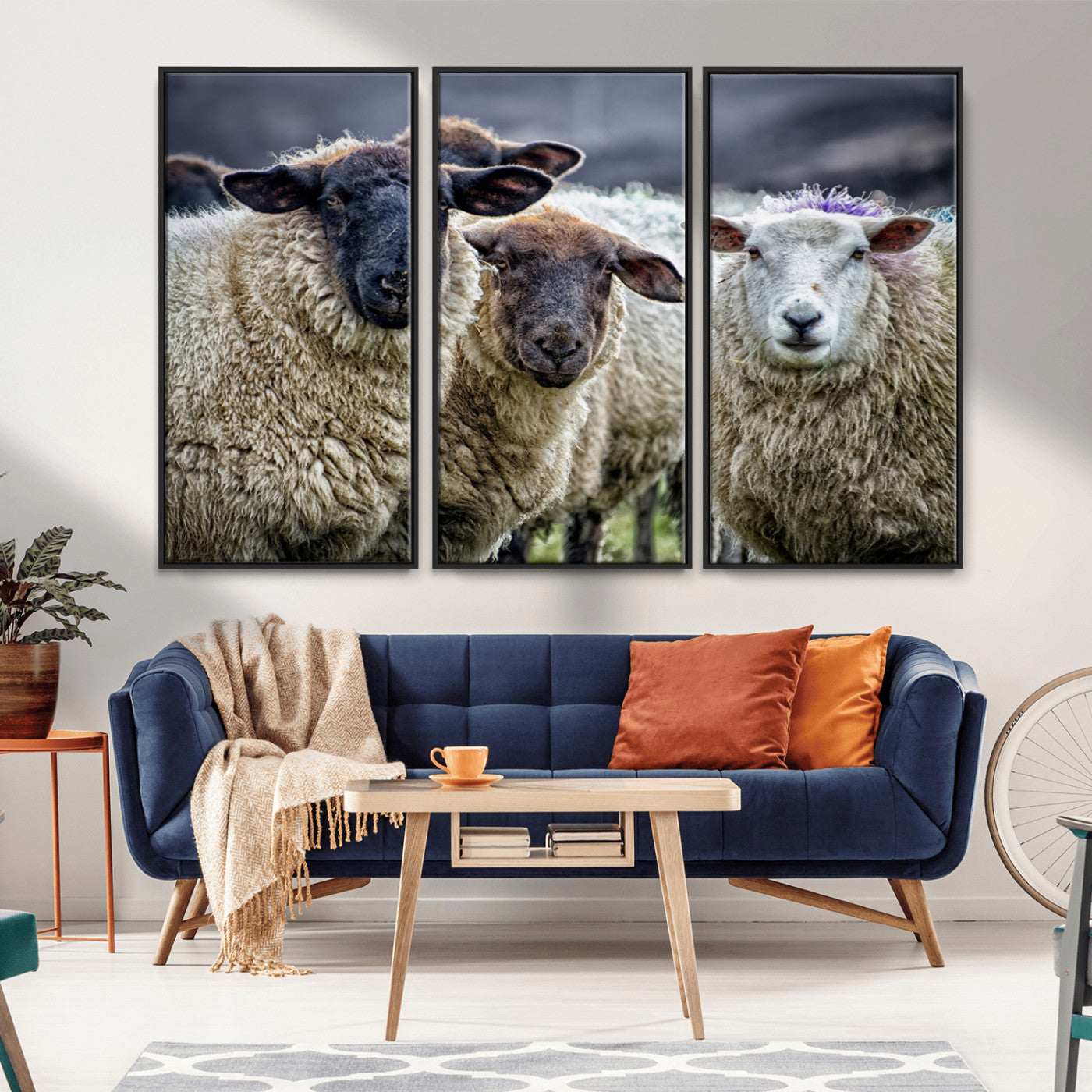 -Charming Sheep Portrait Wall Art – Trio of Woolly Companions Canvas Print, Framed, Ready to Hang