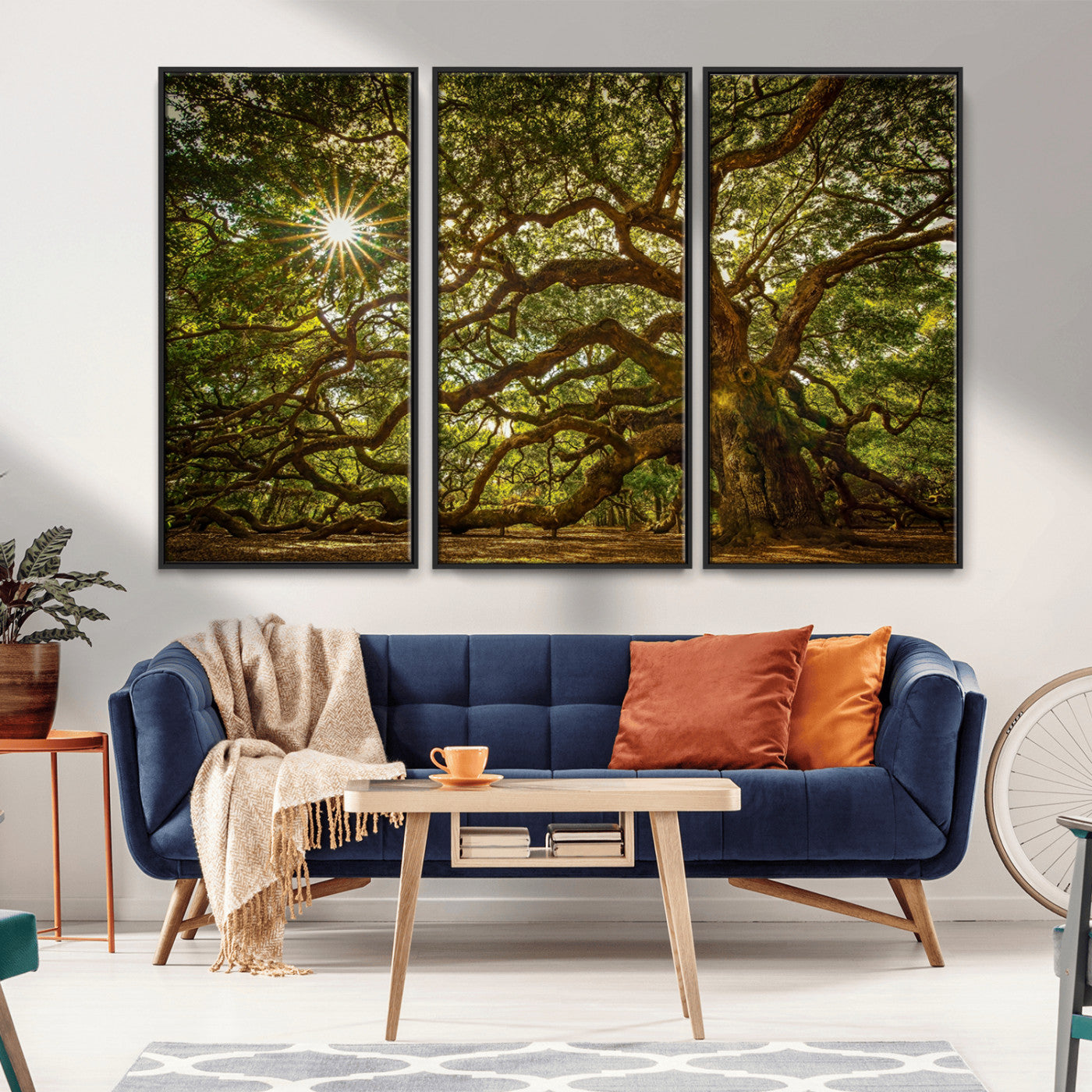 MGV-FC-48X32-3P - Ancient Angel Oak Tree Art Sunburst Canvas Print- Nature-Inspired Triptych Canvas Print, Framed, Ready to Hang