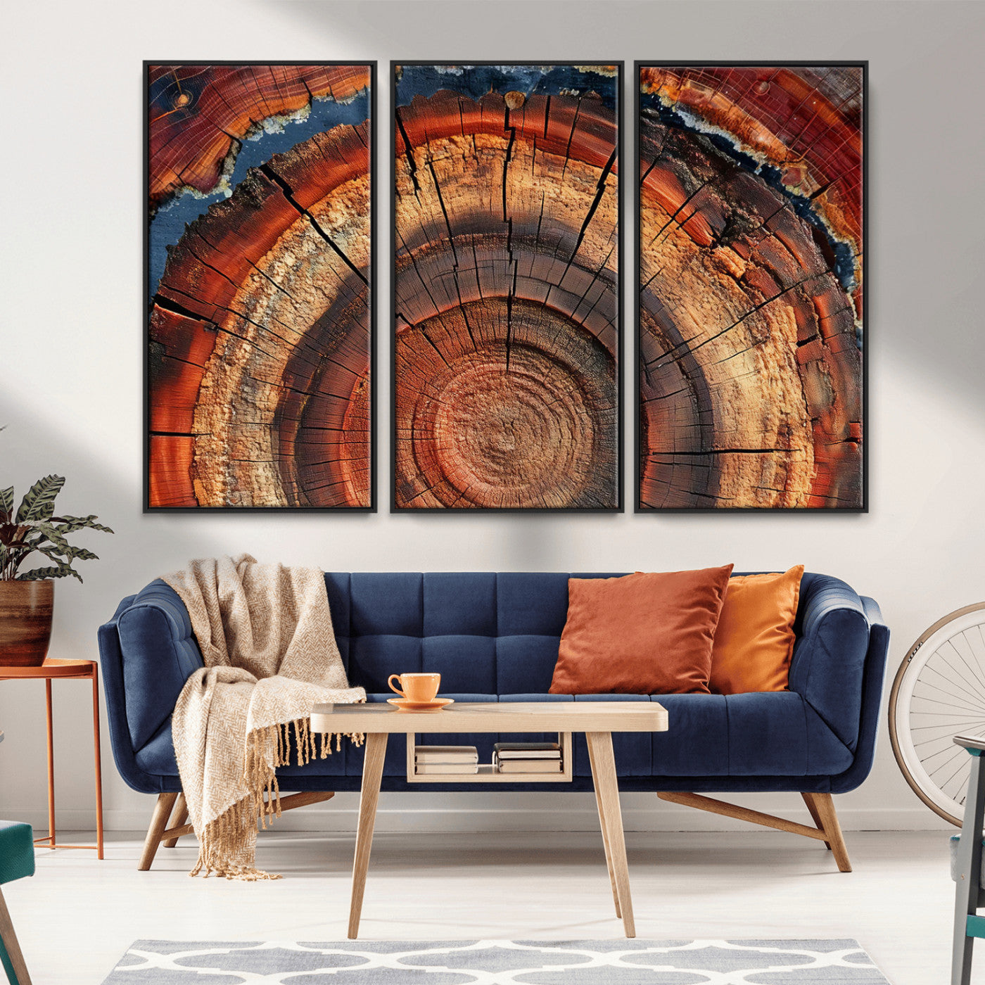MGV-FC-48X32-3P - Abstract Tree Ring Art, Colorful Tree Ring Wall Decor, Minimalist Home Canvas Art, Modern Farmhouse