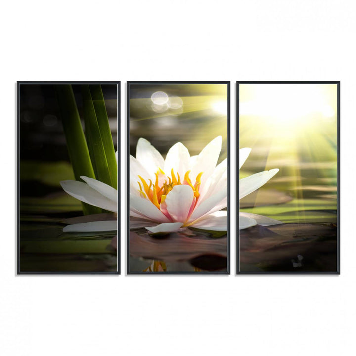 The Lotus Flower Wall Art Canvas Print showcases a white water lily with a yellow center floating gracefully in sunlight.