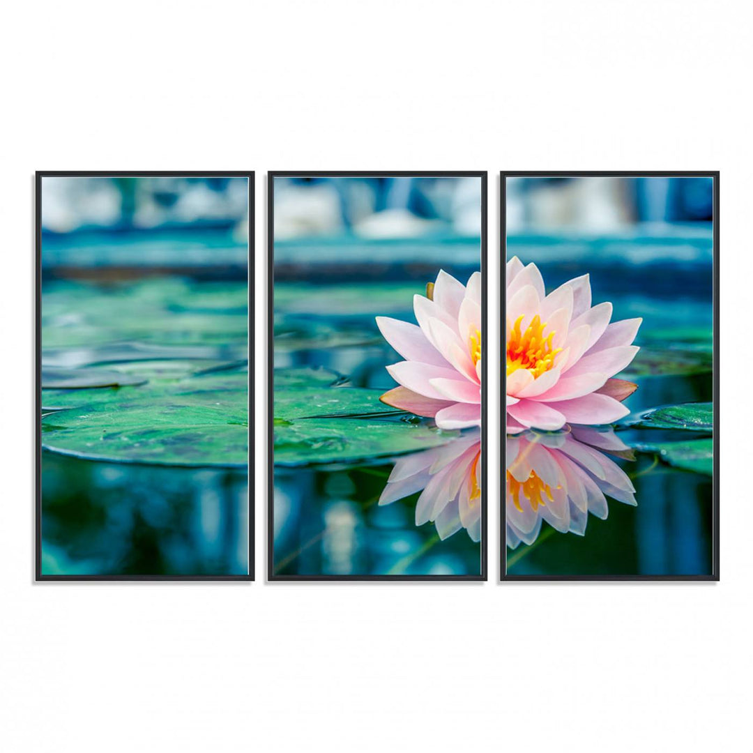 The Lotus Flower Canvas Print showcases a pink water lily with a yellow center gracefully floating on a calm pond.