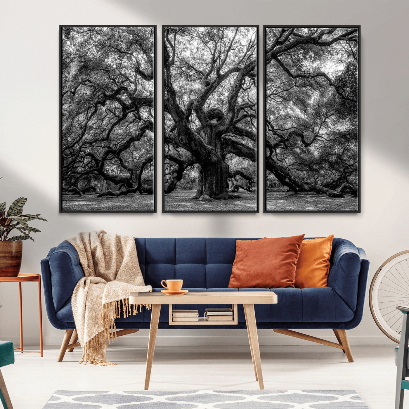 MGV-FC-48X32-3P - Black and White Old Angel Oak Tree Wall Art Canvas Print