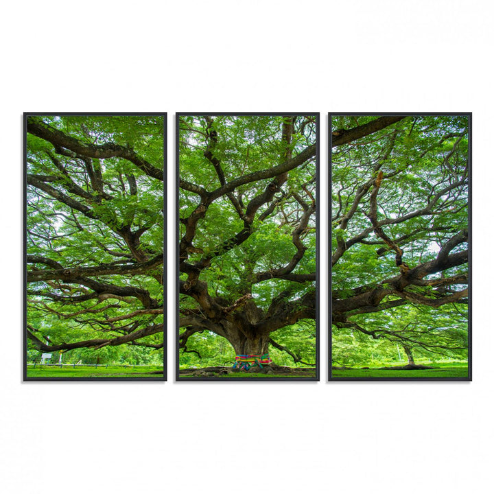 Framed Angel Oak Tree print featuring sprawling branches and ribbons against a clear sky backdrop, ideal for home or office decor.