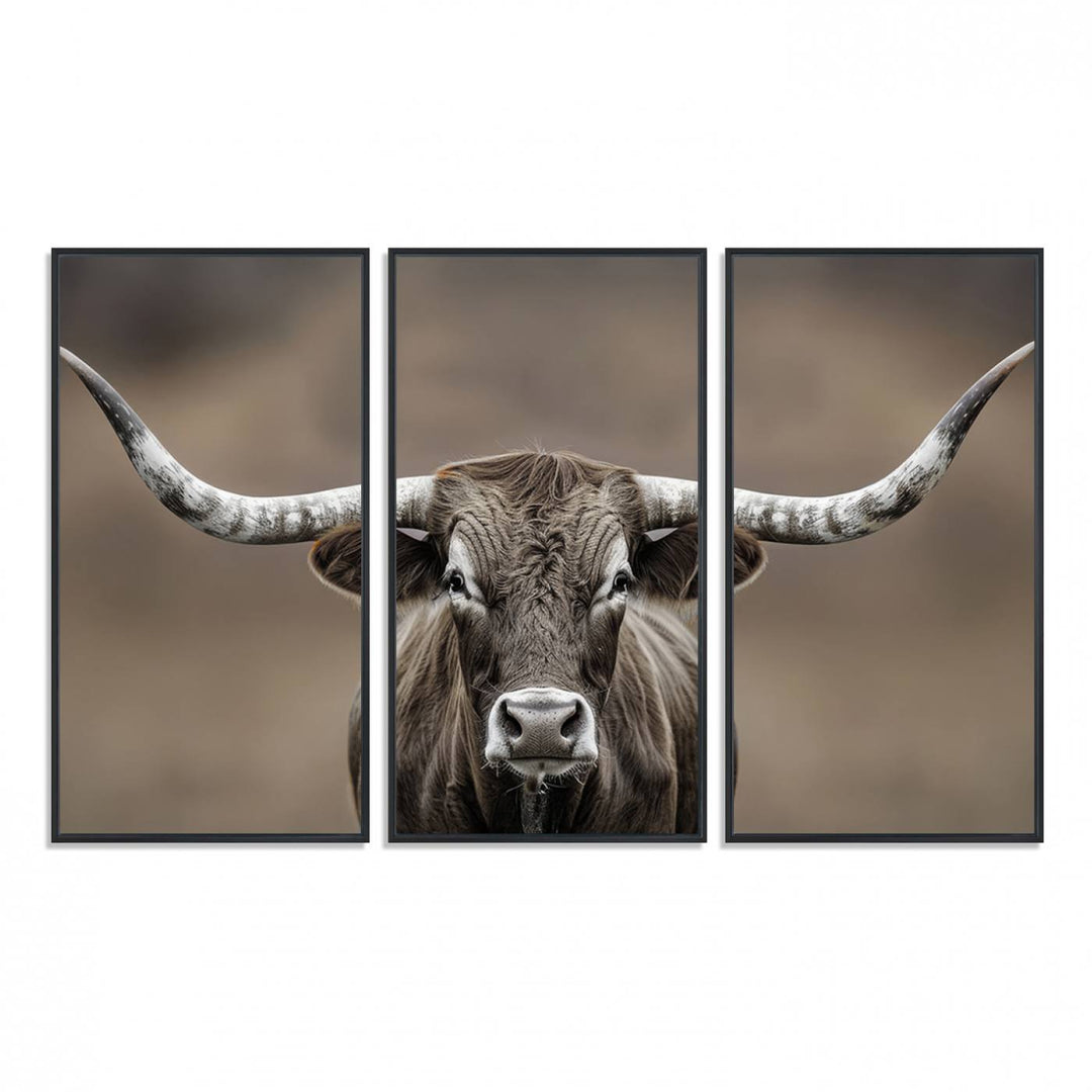 A close-up of a longhorn bull facing forward is featured in the Framed Texas Test-1, set against a blurred brown background.