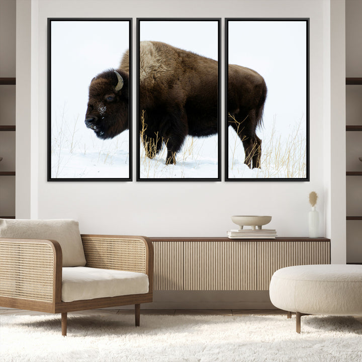 Bison Photography Wall Art Canvas Print, Framed Western Wildlife Art Picture Print, Buffalo On Snow Perfect Western Decor Artwork