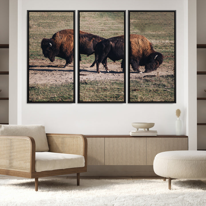 Bison Photography Wall Art Canvas Print, Framed Western Wildlife Art Picture Print, Modern Ranch Perfect Western Rustic Decor Artwork