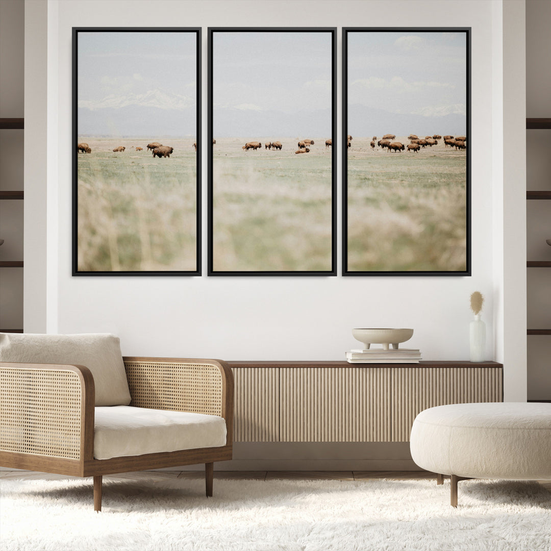 Bison Herd Wall Art Canvas Print, Framed Western Art Picture Print, Bison Perfect Ranch Decor Artwork