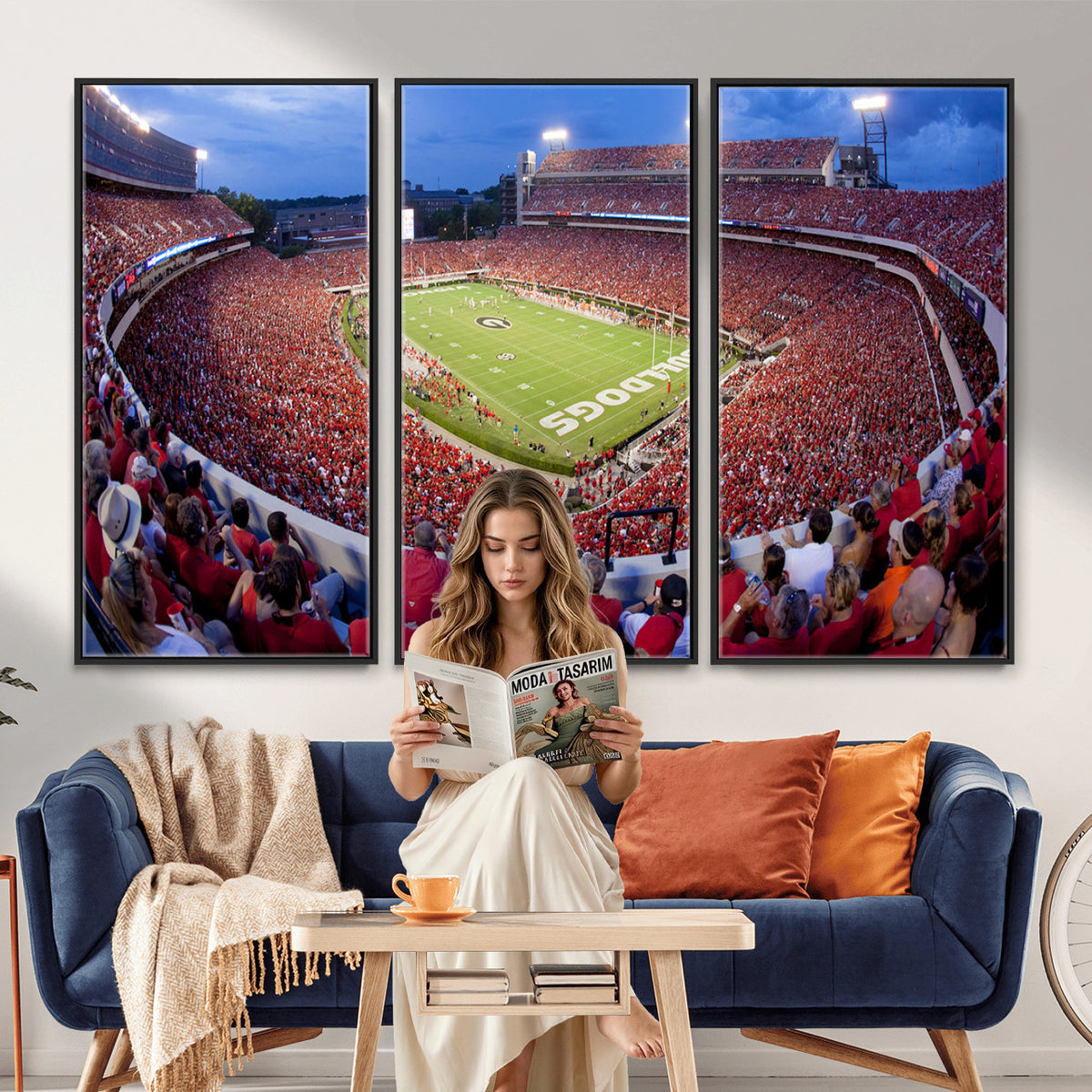 10244378-MGV-CV-36X24 - Dooley Stadium Wall Art, Sports Arena Canvas Print, Dooley Field, Home Bar Wall Decor