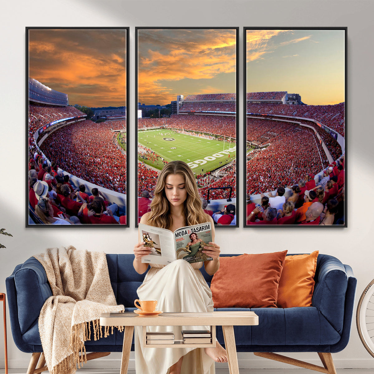 73680988-MGV-CV-36X24 - Dooley Stadium Wall Art, Sports Arena Canvas Print, Dooley Field, Framed and Ready to Hang