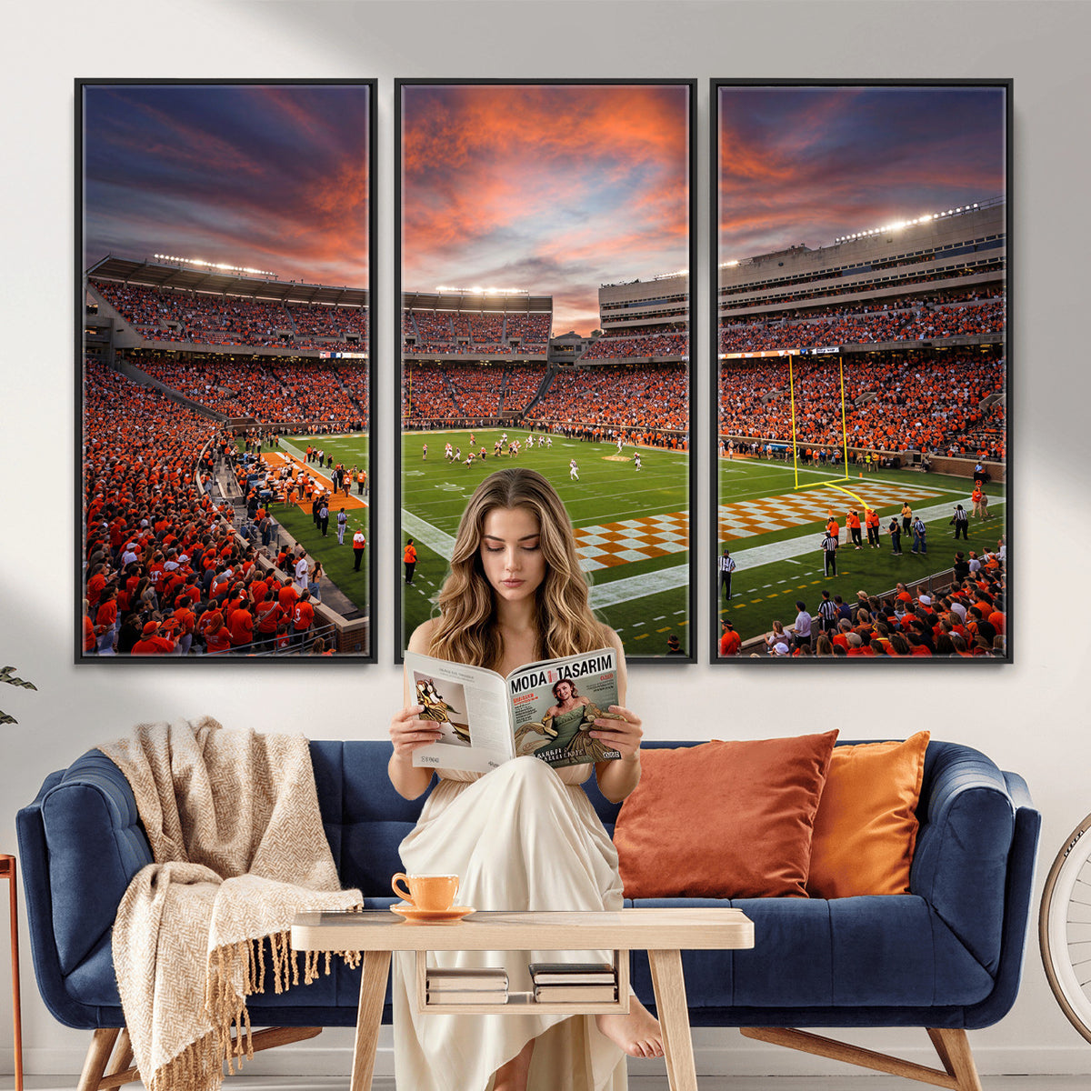 67648335-MGV-CV-36X24 - Stadium Wall Art Canvas Print