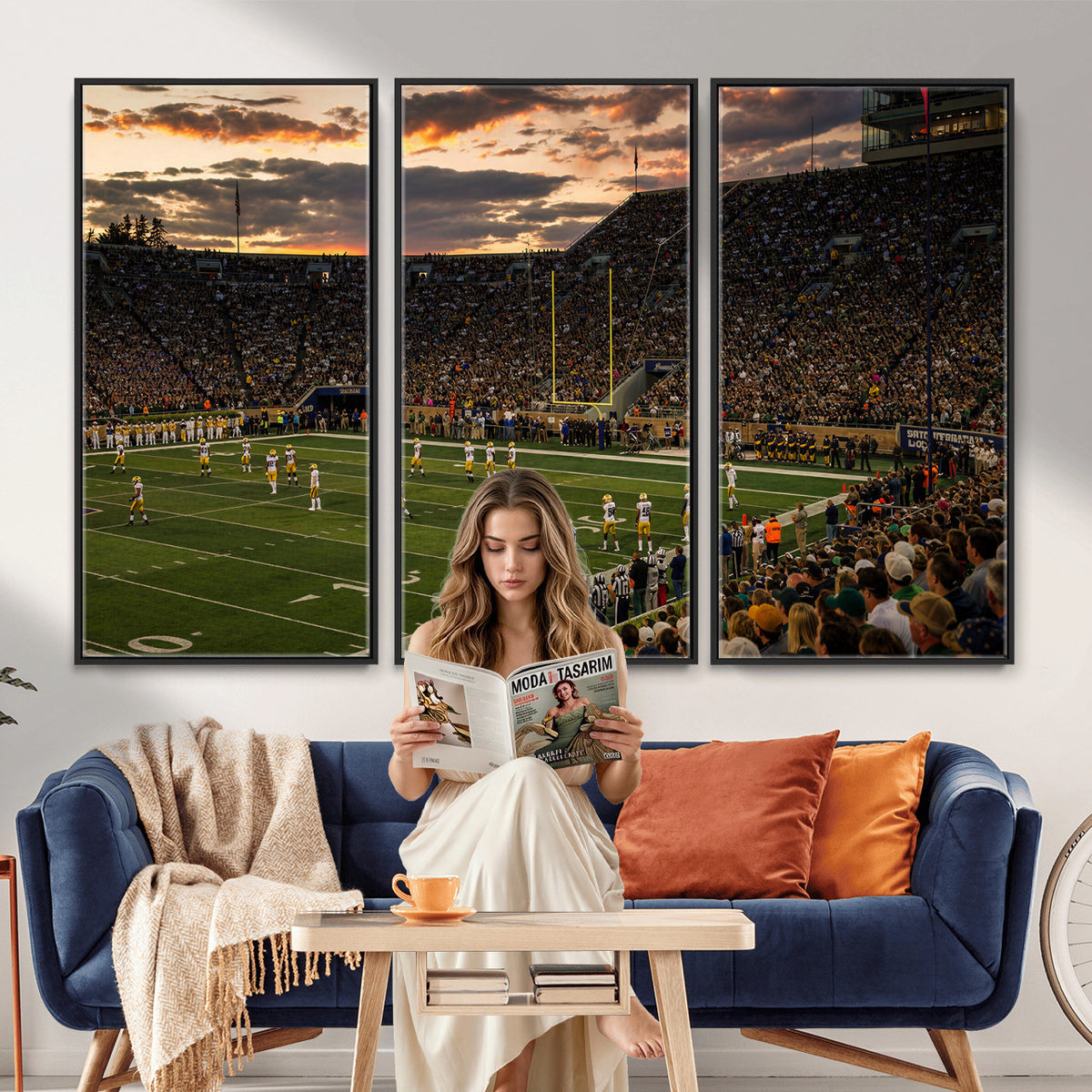 17703678-MGV-CV-36X24 - Stadium Wall Art Canvas Print