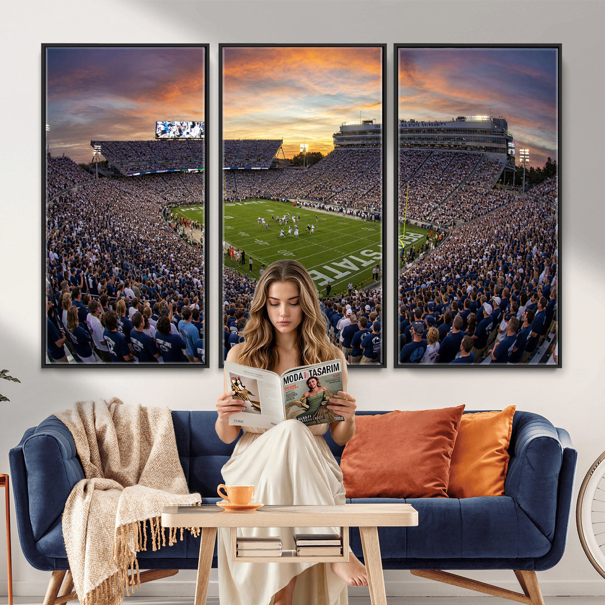 29008668-MGV-CV-36X24 - Stadium Wall Art Canvas Print