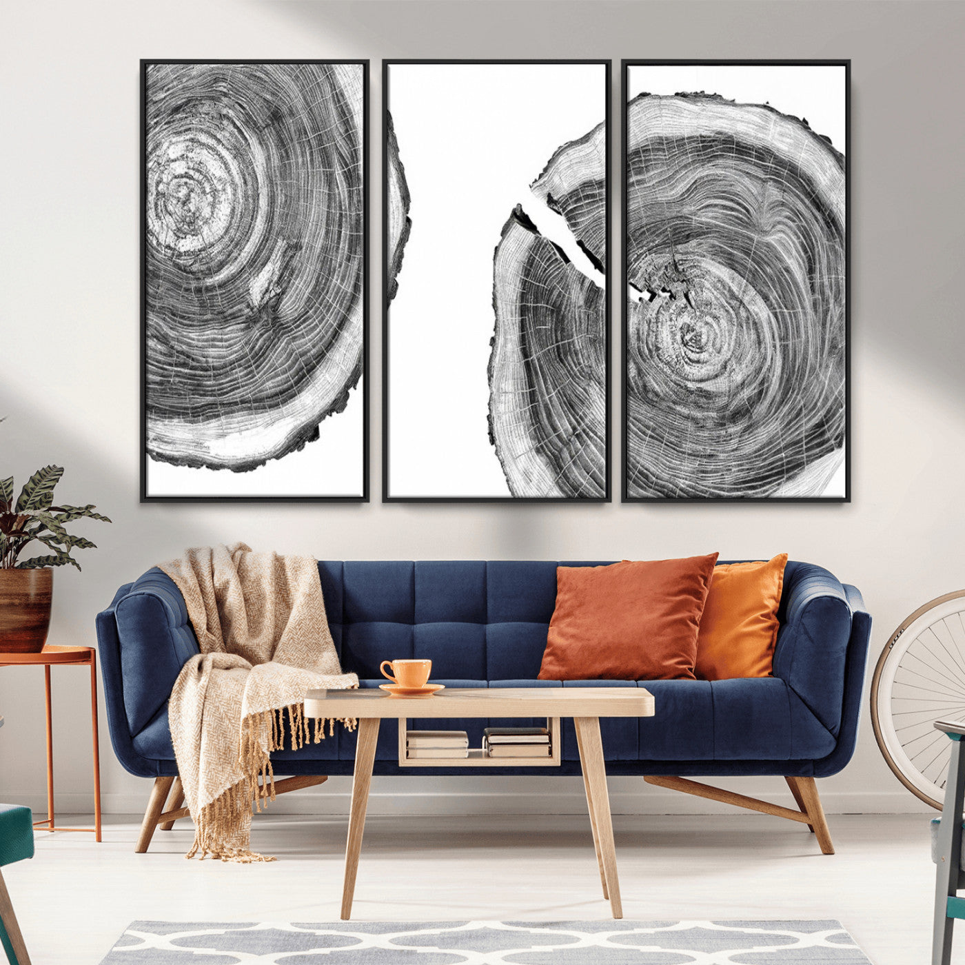 MGV-FC-48X32-3P - Modern Black and White Tree Rings Canvas Wall Art – Nature Inspired Wood Slice Print – Minimalist