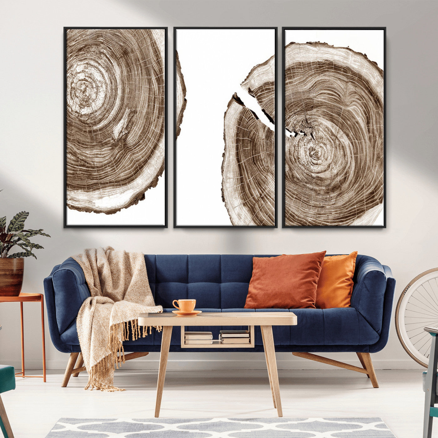 MGV-FC-48X32-3P - Wood Tree Ring Wall Art Canvas Prints, Tree Rings – Minimalist Black and White Wood Art | Triptych