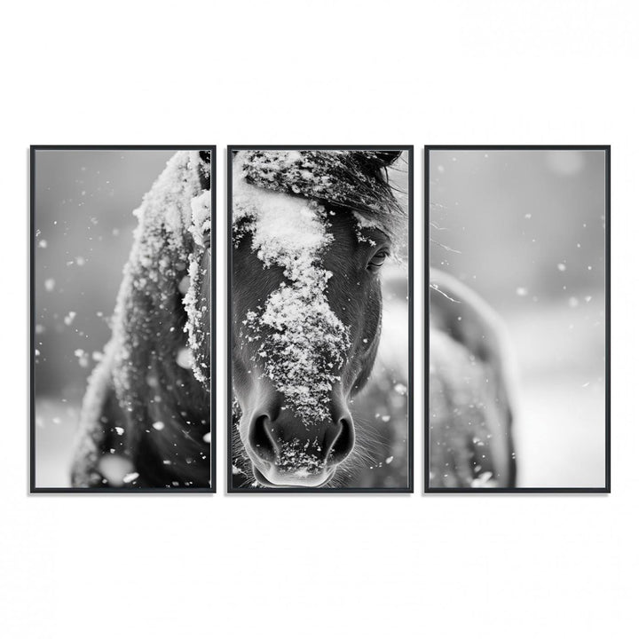 The Black and White Horse Winter Wall Art features a majestic horse with snow-covered hair set against a serene winter backdrop.