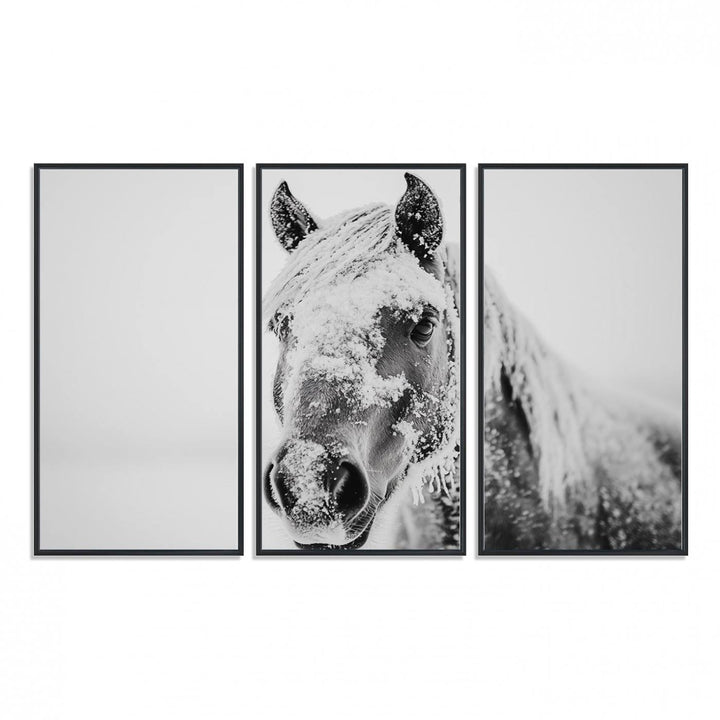 White Horse Wall Art: A black and white photo of a snow-covered horse, framed and ready to hang for farmhouse decor.