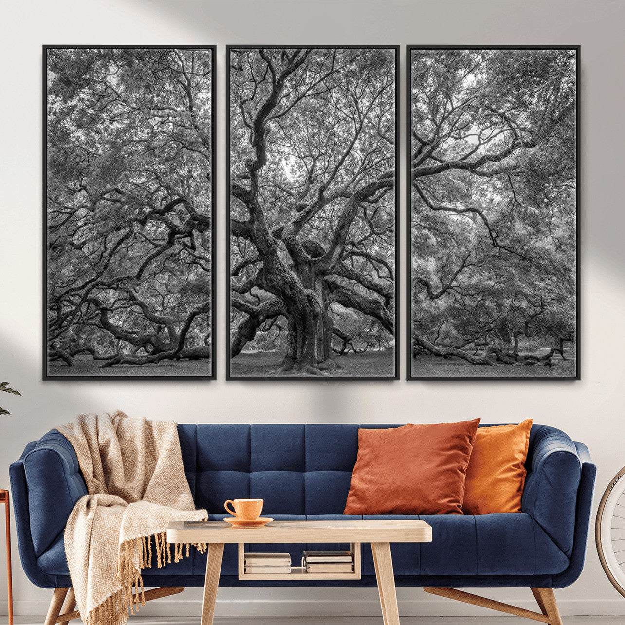 97240-MGV-CV-36X24 - Large Angel Oak Tree Black and White Canvas Print
