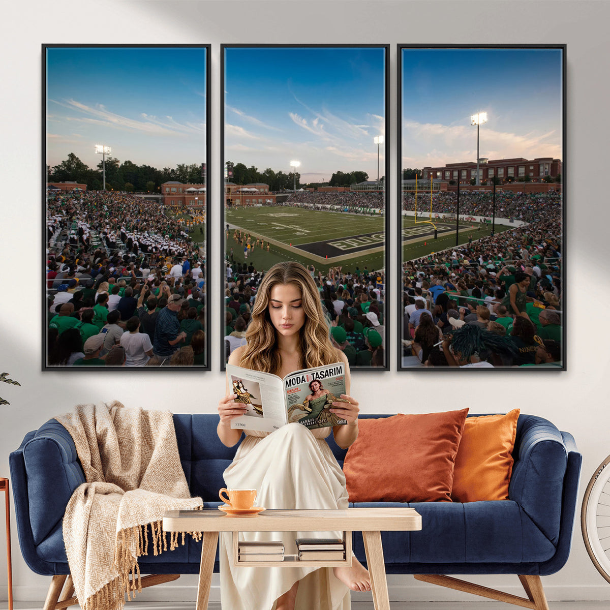 12290-MGV-CV-36X24 - University of Charlotte 49ers Football Team Print - Charlotte Jerry Richardson Stadium Wall Art