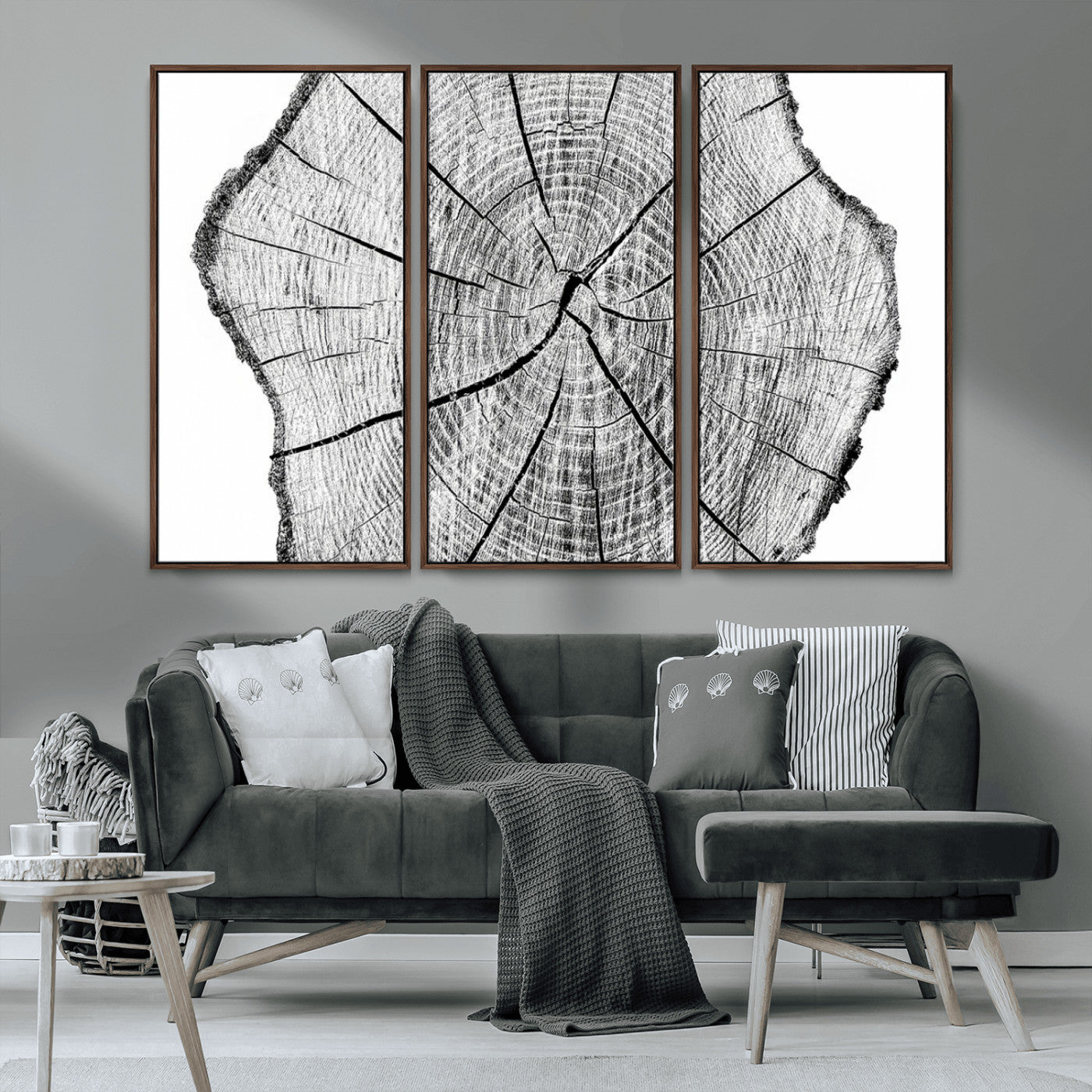 -Rustic Tree Ring Wall Art Canvas Print – Framed and Ready to Hang – Perfect for Nature-Inspired and