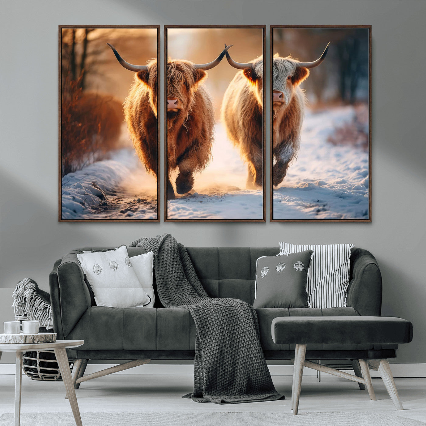 MGV-FC-48X32-3P - Scottish Highland Cow Horn Farm Wall Art Canvas Print