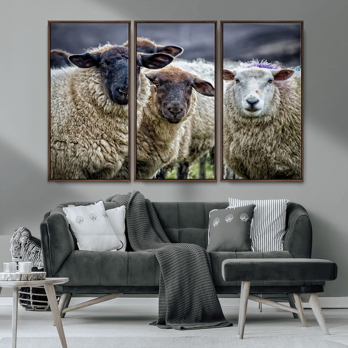 -Charming Sheep Portrait Wall Art – Trio of Woolly Companions Canvas Print, Framed, Ready to Hang