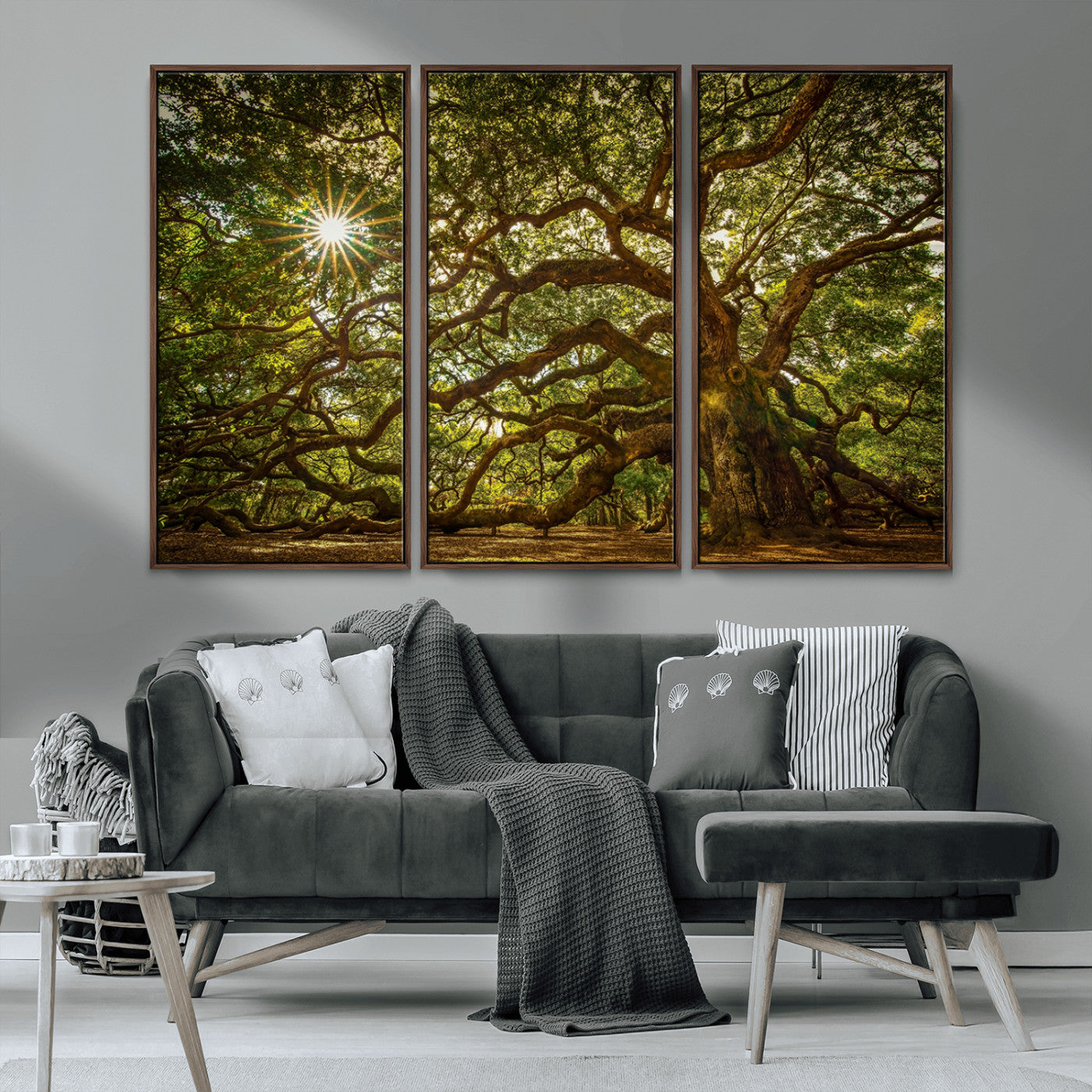 MGV-FC-48X32-3P - Ancient Angel Oak Tree Art Sunburst Canvas Print- Nature-Inspired Triptych Canvas Print, Framed, Ready to Hang