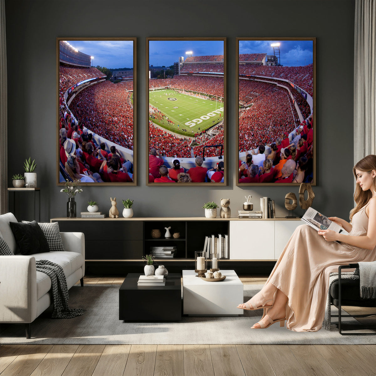 10244378-MGV-CV-36X24 - Dooley Stadium Wall Art, Sports Arena Canvas Print, Dooley Field, Home Bar Wall Decor