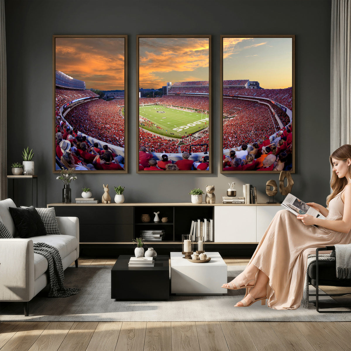 73680988-MGV-CV-36X24 - Dooley Stadium Wall Art, Sports Arena Canvas Print, Dooley Field, Framed and Ready to Hang