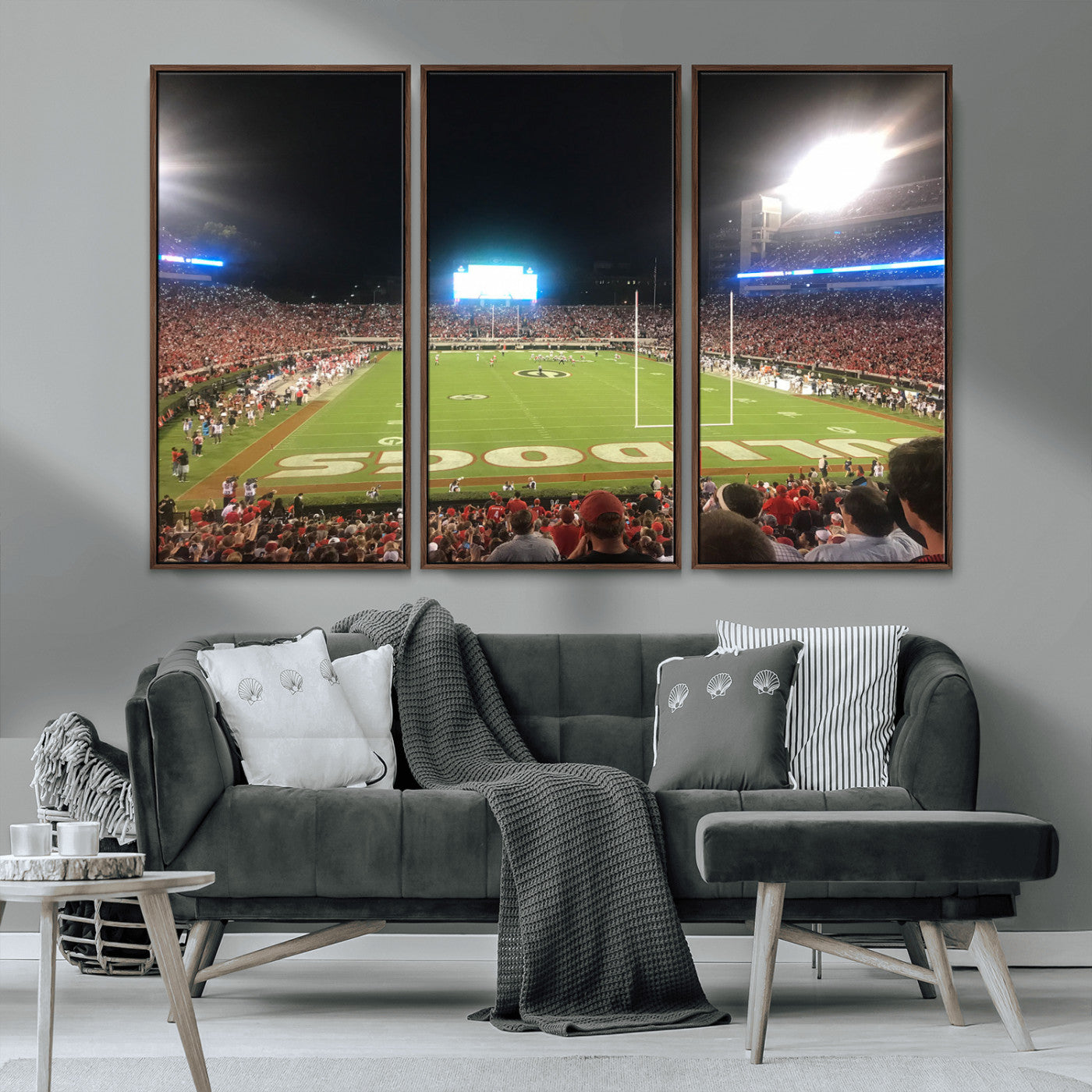 Dooley Stadium Wall Art Print, Sports Arena Canvas Wall Art, Panoramic Stadium Canvas Print, Modern Athletic Field Art Printing