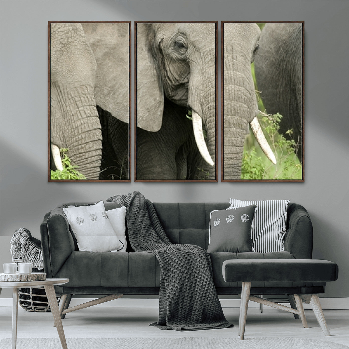 MGV-FC-48X32-3P - Wild Elephant Wall Art Canvas Print